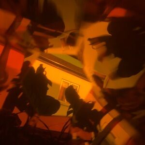 Meet your Posher, Jade